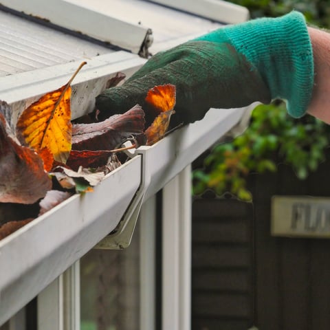 Hand with glove removing autumn leaves from gutter